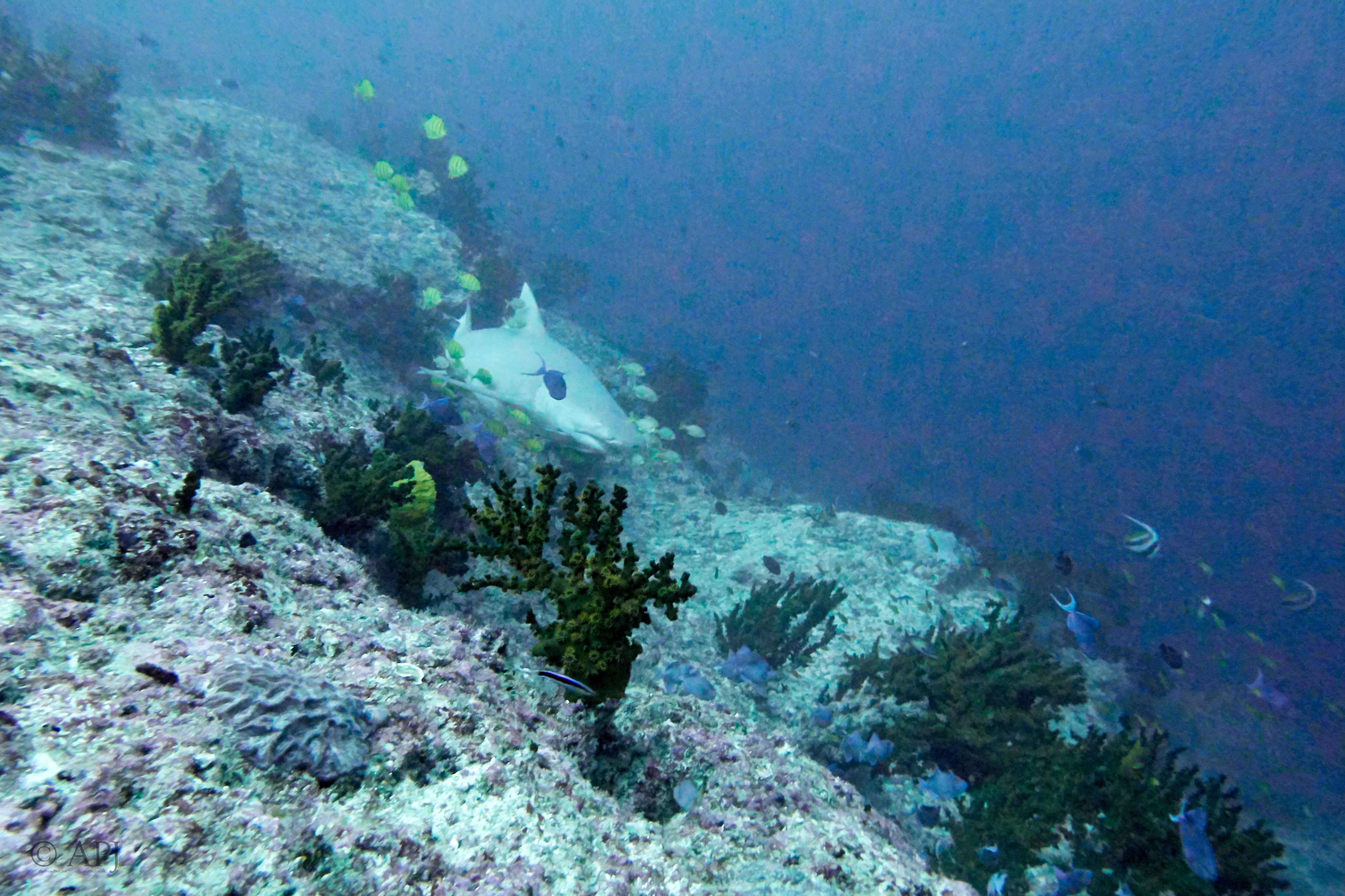 003410 18 08 17  Canon PowerShot G7 X Mark II   Malediven2017